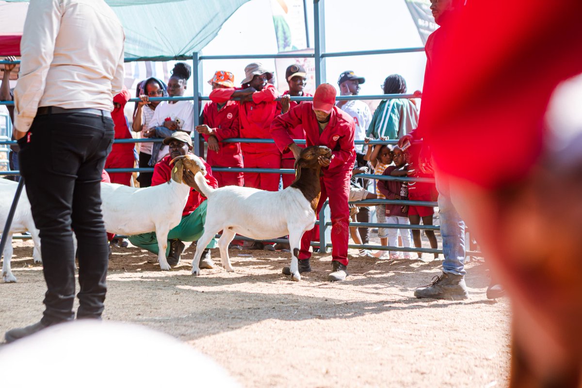 Absa Bank Botswana tweet media