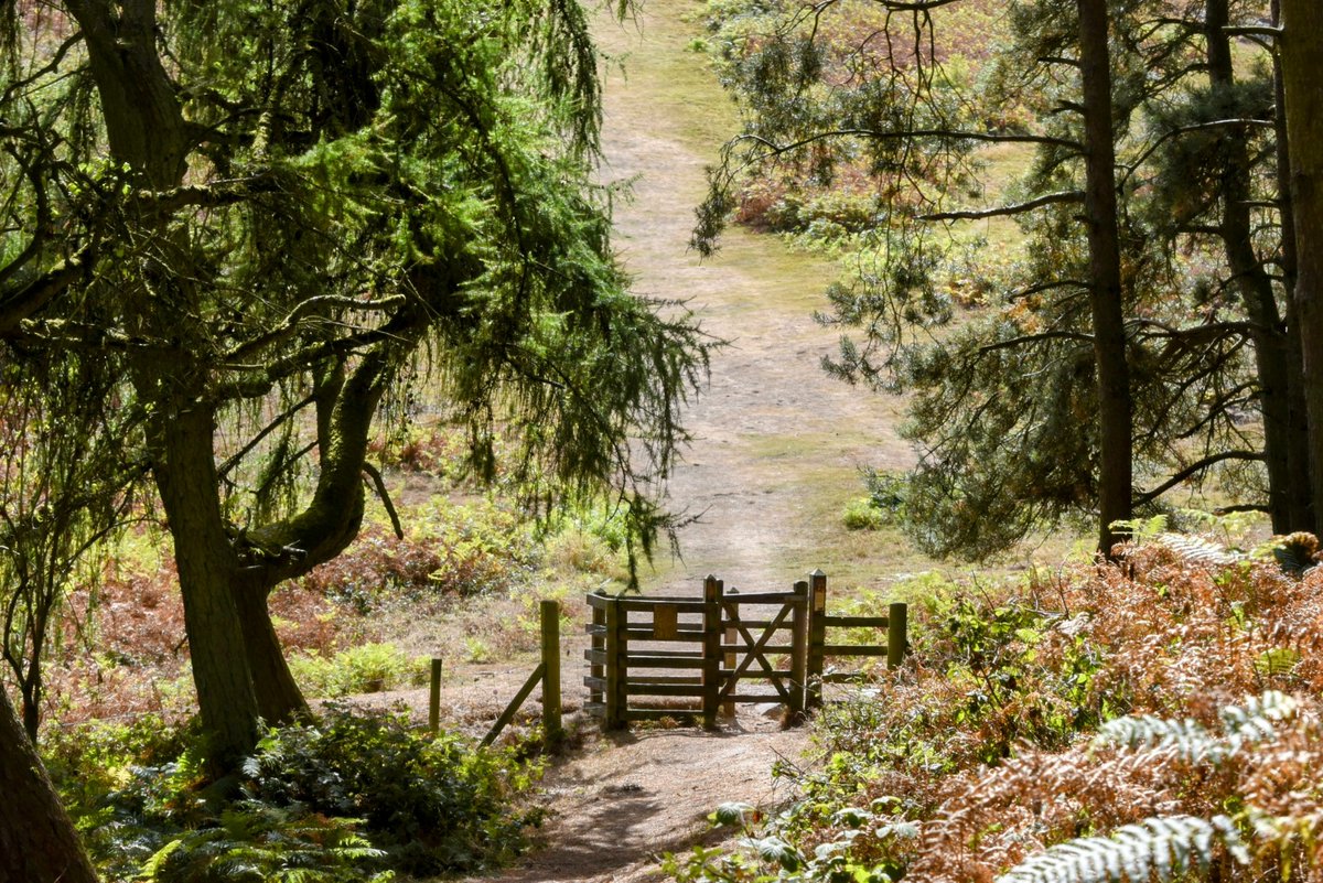 Happy #Thursgate
Heading towards Earl's Hill