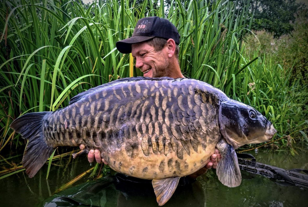 Pukka Squirrel Baits 🇬🇧 © tweet media
