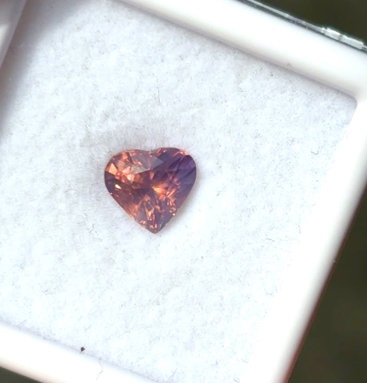 자연광 쫘악 ☀️