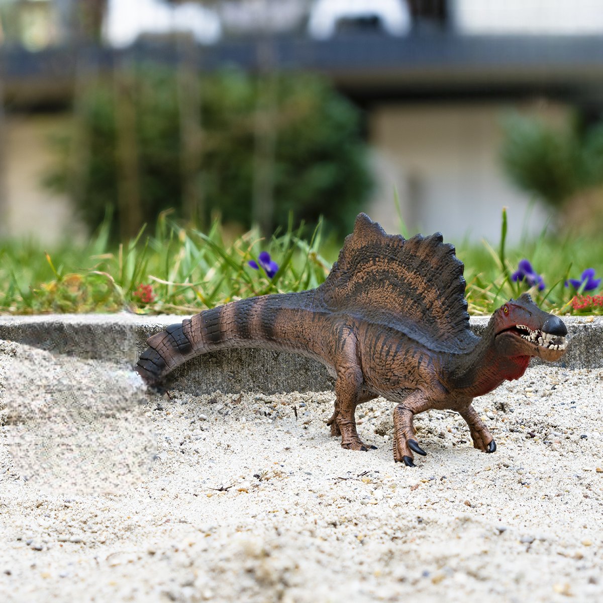 夏だ！
恐竜だ！
スピノサウルスだ！

スピノサウルスの強敵はどんな恐竜か知ってますか？

x.gd/DgePO
#シュライヒ #フィギュア #schleich