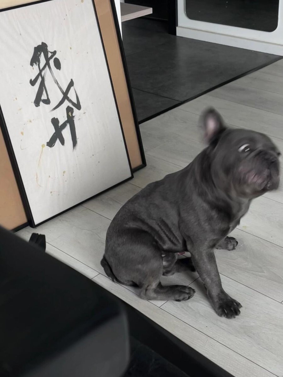 chyej36312625's tweet image. これは私の食べ物を食べたくて仕方がないんですね😮
顔いっぱいに困ったような表情をしています🤣