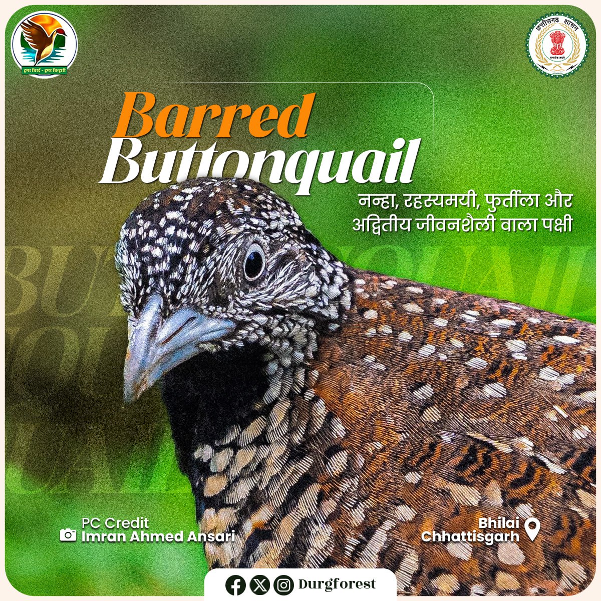 DurgForest's tweet photo. रानीदाह जलप्रपात – जशपुर का मोहक रत्न, जहाँ गिरते जल की धुन प्रकृति का संगीत रचती है और हरियाली की गोद में सुकून का संसार बसता है।

#RaniDahWaterfall #JashpurBeauty #NatureVibes #HiddenParadise #WaterfallMagic #ChhattisgarhTourism #PeacefulEscape #NatureLovers #IncredibleIndia https://t.co/6eWm01w1sI