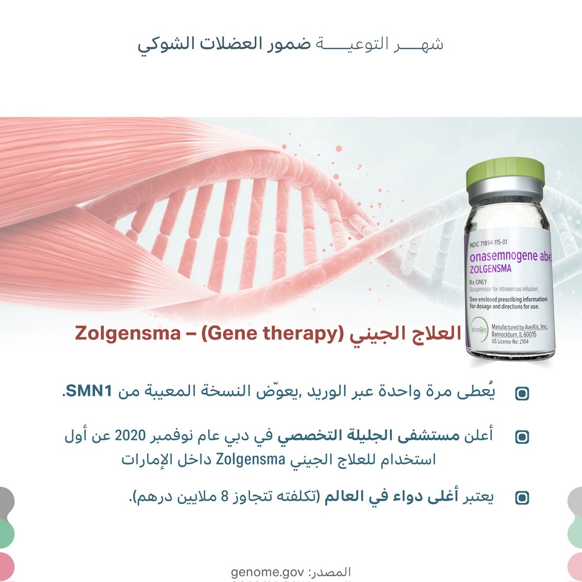 شهر التوعية بمرض ضمور العضلي الشوكي 🧬

هو اضطراب وراثي عصبي عضلي نادر يحدث بسبب طفرة أو حذف في جين SMN1 الموجود على الكروموسوم 5q13، مما يؤدي إلى نقص بروتين Survival Motor Neuron (SMN) الضروري لبقاء الخلايا العصبية الحركية (motor neurons) في الحبل الشوكي وجذع الدماغ.