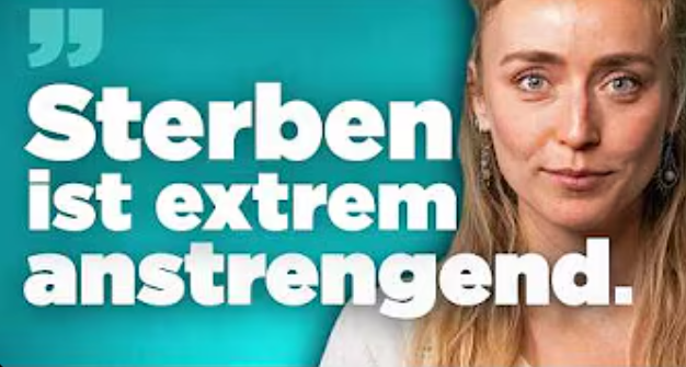 Domtendo tweet media