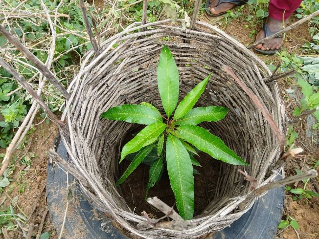 PAM Niger tweet media