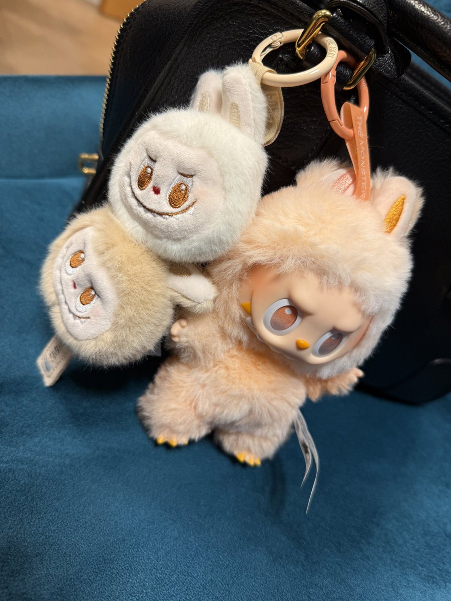 たこぱおいしかったです！
あきとさんありがとうございます🐙

ラブブかわいい〜