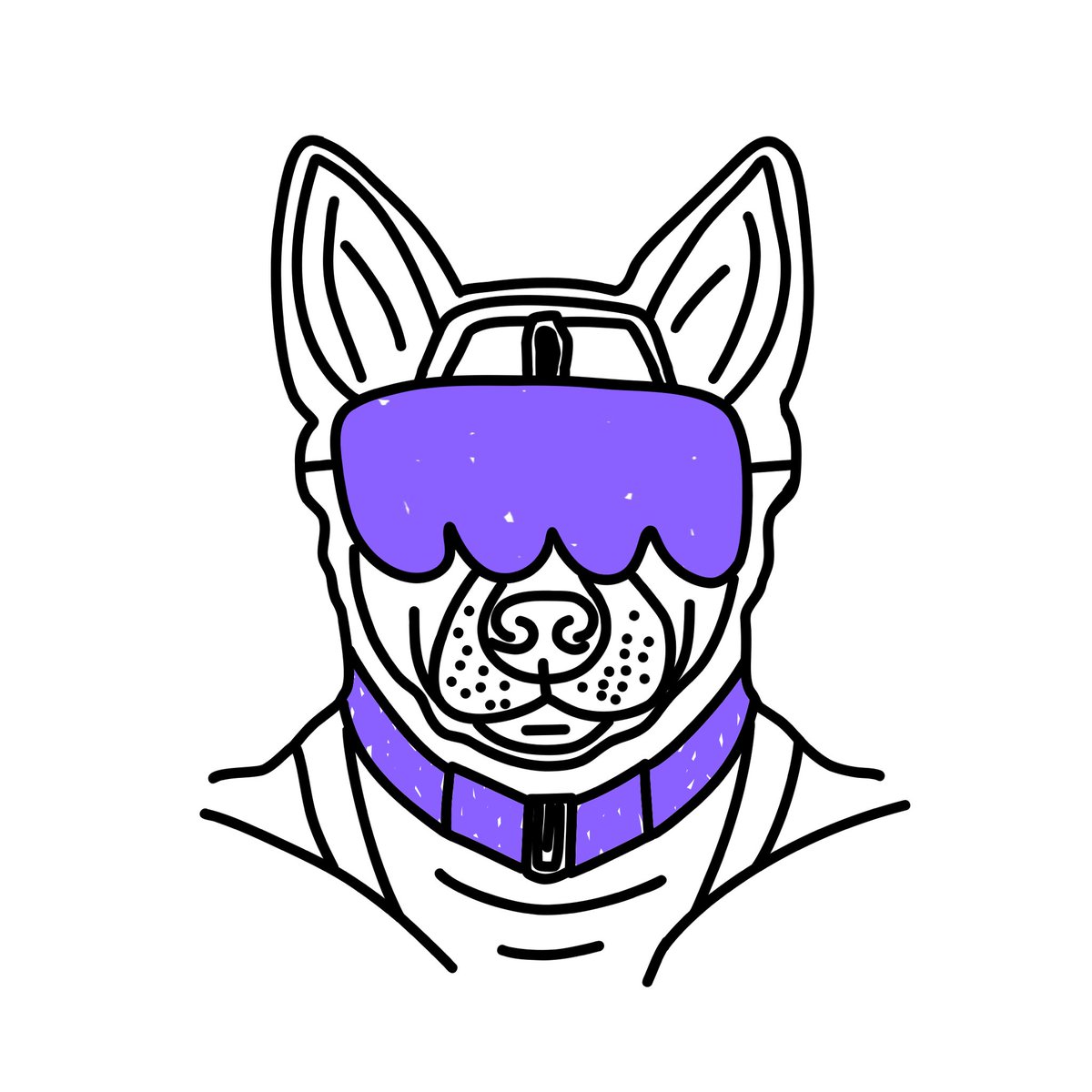 👀🔍🐾