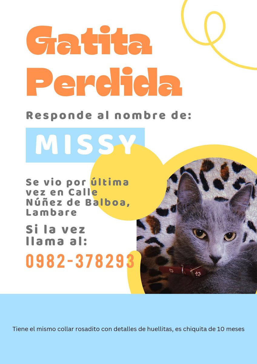 Buscamos a Missy RT 👇🏻