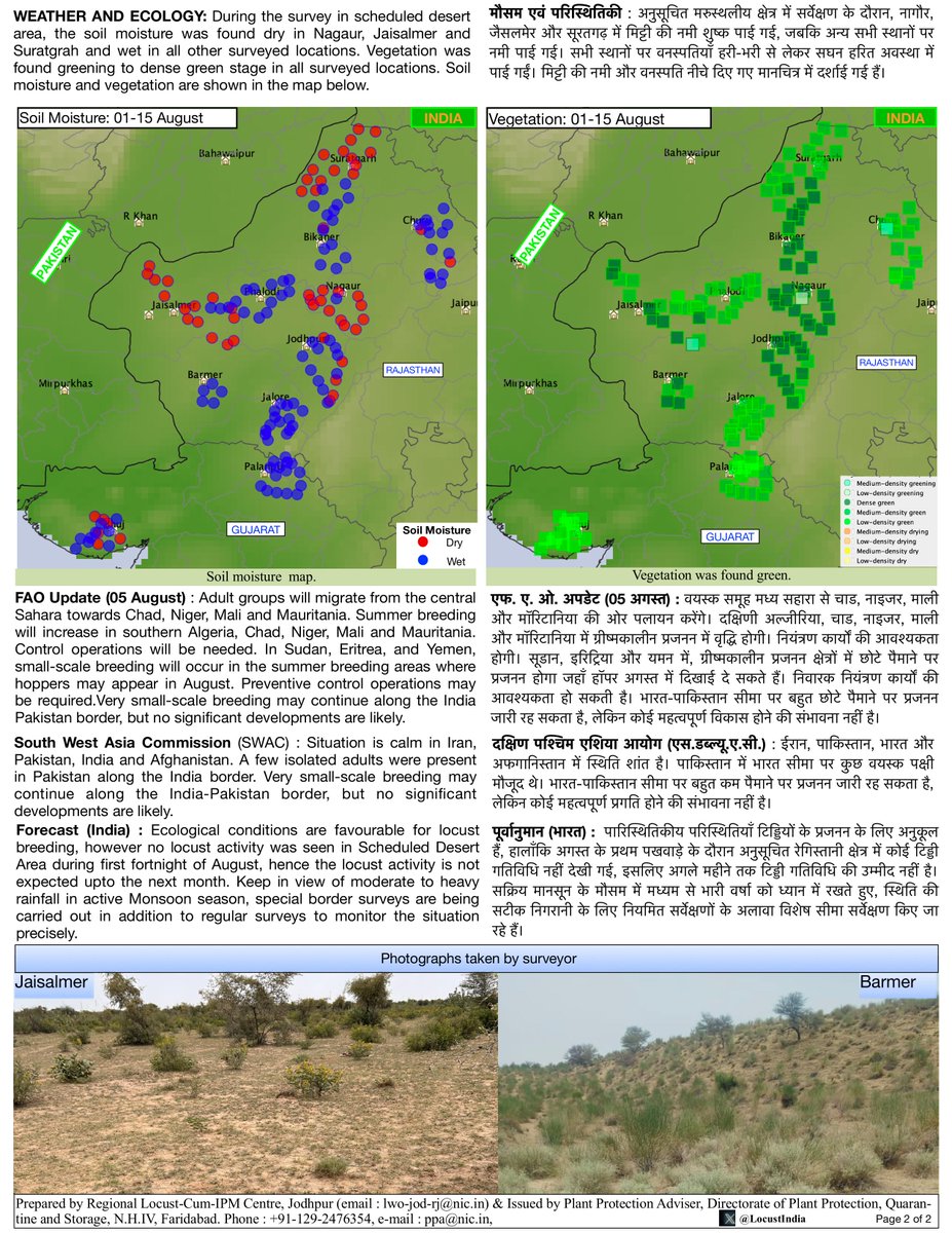 LocustIndia's tweet photo. Desert Locust Bulletin First fortnight of August 2025 https://t.co/OexlP9eudN