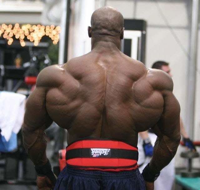 🏴‍☠️ 83Kid 🏴‍☠️ tweet media