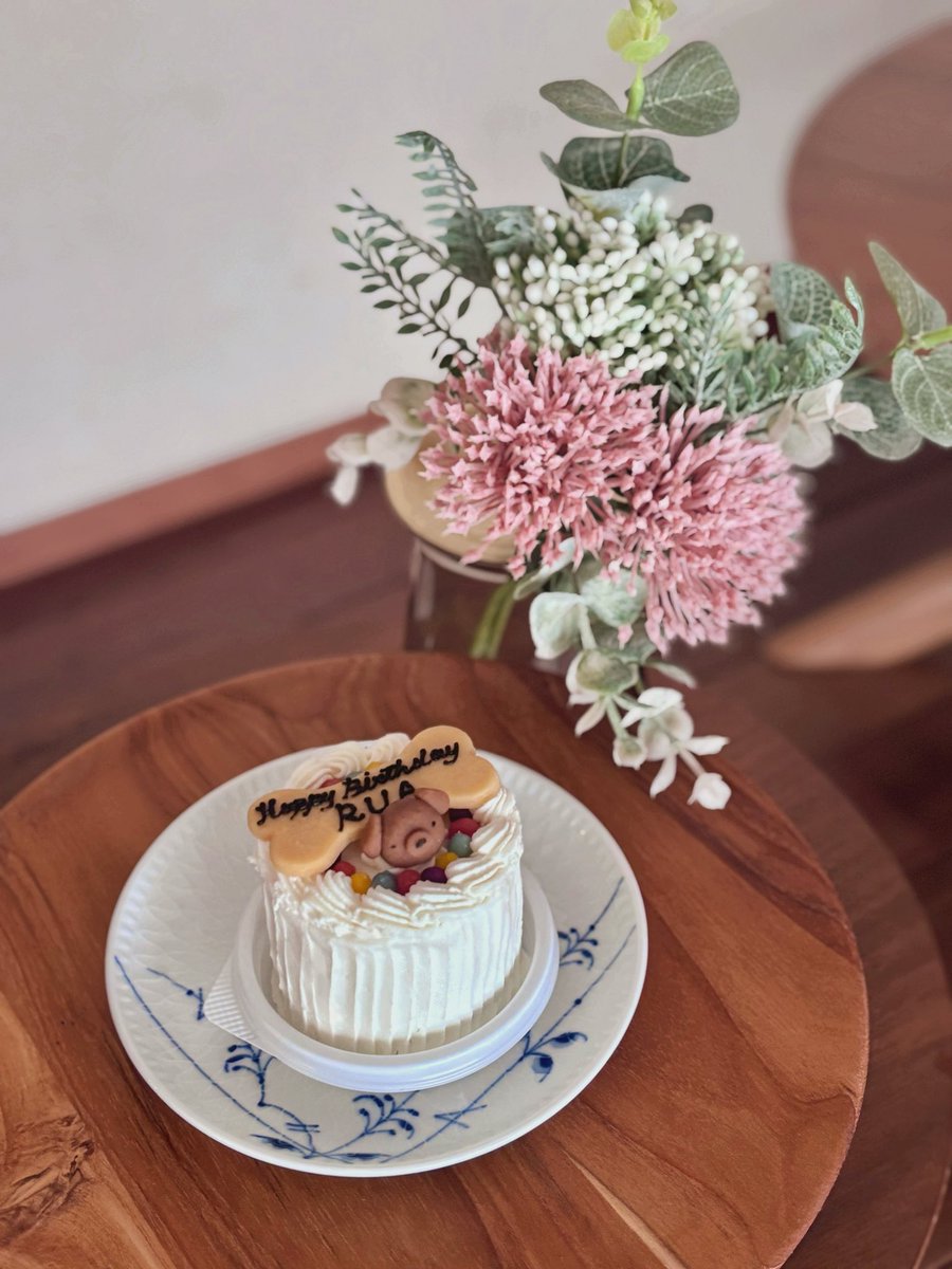 rua_style's tweet photo. 8/21🍯
- ̗̀ 𝙷𝙰𝙿𝙿𝚈 𝙱𝙸𝚁𝚃𝙷𝙳𝙰𝚈🧁🤍  ̖́-
8歳になりました🐝⋆゜
これからも、怪我も病気もなく元気いっぱいのルアでいてね🧸ིྀ🩷🩵🩷🩵
#トイプードル  #生誕祭
 #いぬとの暮らし  #いぬのきもち  #犬がいる幸せ  #犬との暮らし  #犬のいる生活  #いぬのいる暮らし  #dog  #강아지 https://t.co/q9JP7FZCYw