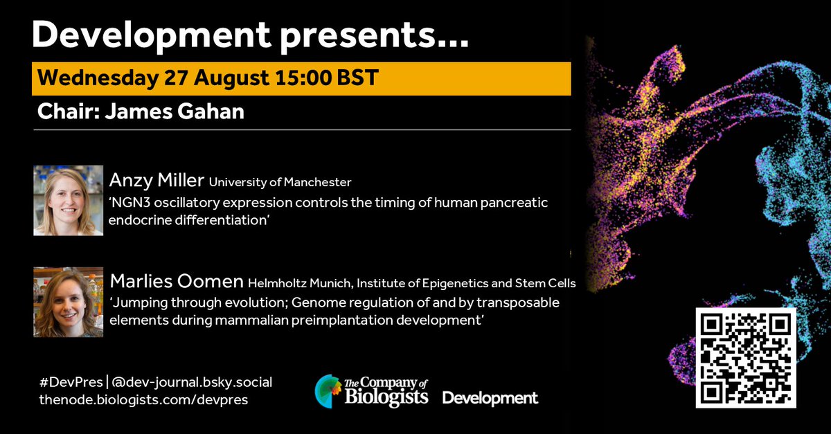 the_Node's tweet photo. Two of Development’s PI fellows, Anzy Miller @AnzyMiller and Marlies Oomen @meoomen will be giving talks in our upcoming #DevPres webinar on gene regulation.
🗓️Wednesday 27 August, 15:00 BST (UTC+1)
Register here: https://t.co/Xr4WtzmmWX https://t.co/0ma7cUf507