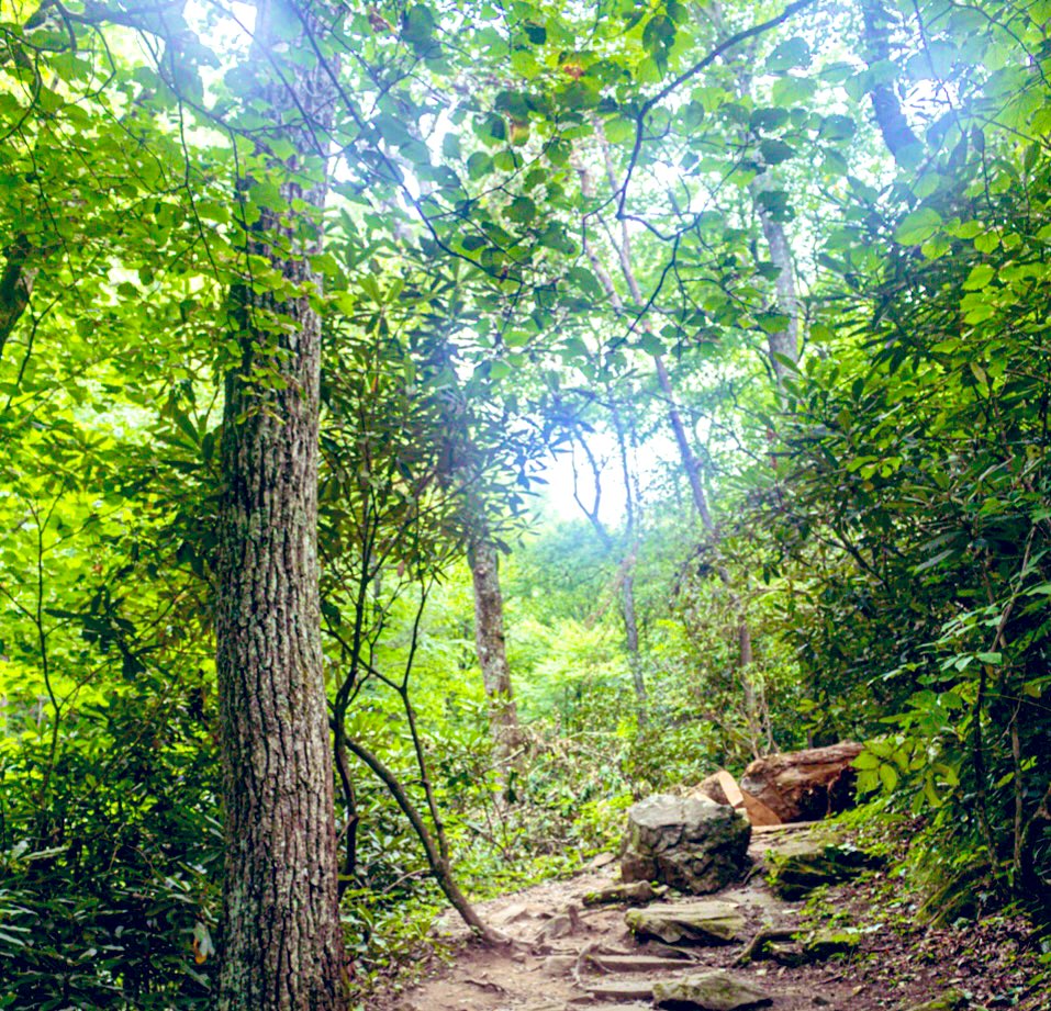 Good Morning ☀️Seek His will in all you do and He will show you which path to take.  Proverbs 3:6