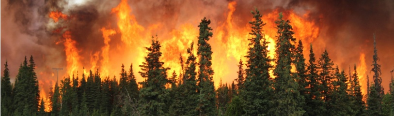 #CastillaYLeón 🔴 <a href="/jcyl/">Junta de Castilla y León</a> aprueba ayudas para los municipios afectados por los incendios forestales de este verano. lc.cx/TTYDEf