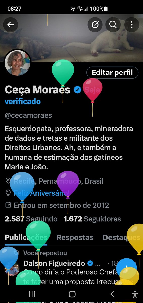 cecamoraes's tweet photo. E subiram os balõezinhos fofos!! ❤ https://t.co/oUSCZLq98W