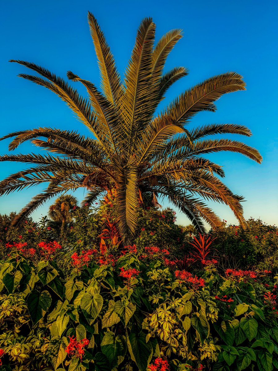 Paul Charles Art tweet media