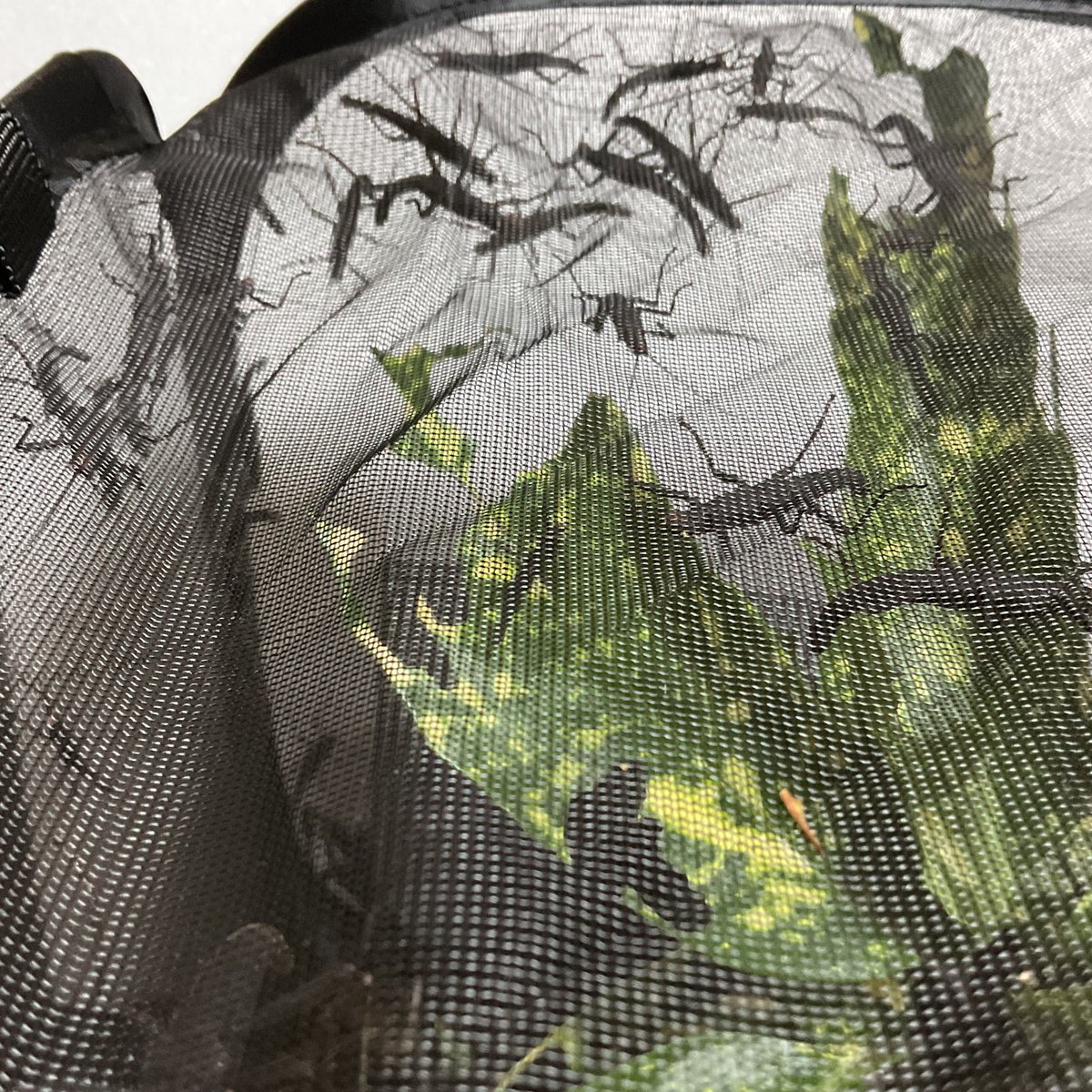 hajitan06211's tweet photo. Peruphasma schultei
ブラックベルベット
餌の減りが激しいと思っていたら結構大きくなってきてた…😅
そして、わや居る🤣
#ブラックベルベット #ナナフシ #PeruphasmaSchultei #StickInsect #Phasmid #Phasmatodea https://t.co/7o4rpkvpjX
