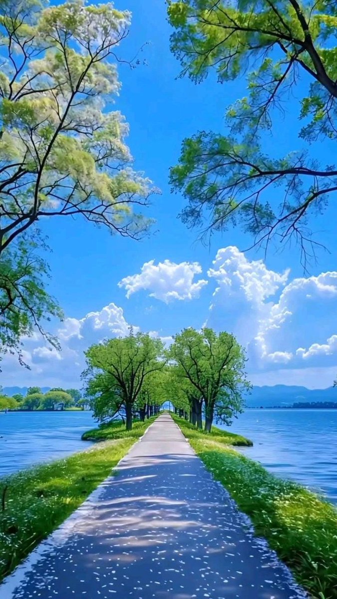 🇬 🇭 🇦 🇿 🇦 🇱 🇦 🇭 tweet media