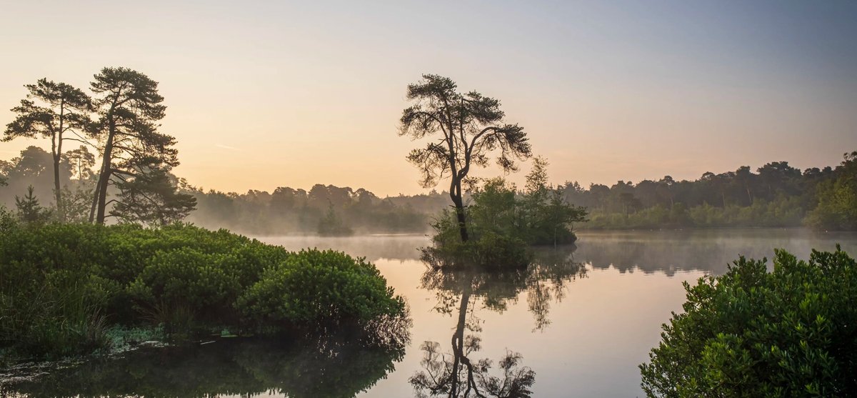 #vacature @Natuurmonument: Coördinator #Natuurbeheer, Midden-Brabant bij Natuurmonumenten te Tilburg
Zie groeneruimte.nl/vacaturebank/4…

#natuurvisie #beheerplanning #boswachters natuurgebied communicatief Loonse en Drunense Duinen