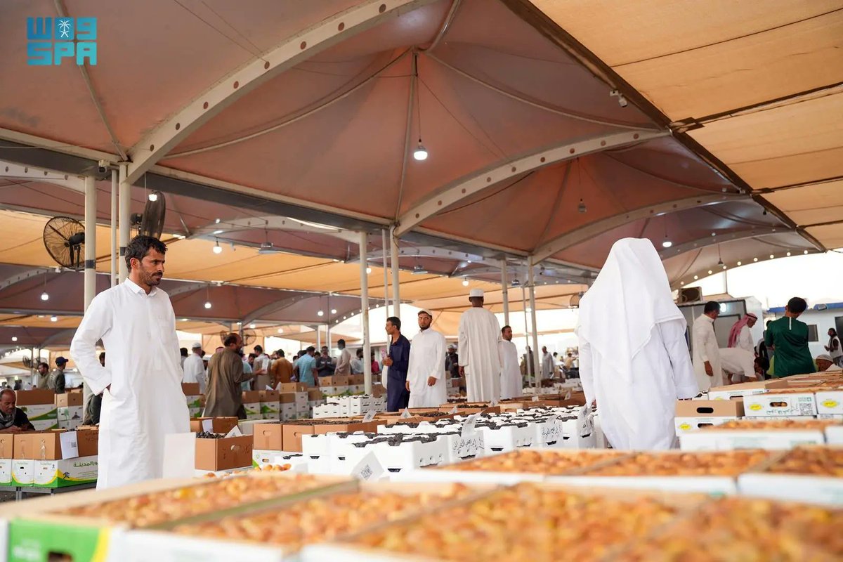 sra7h11's tweet photo. مبادرة “البيئة والزراعة” تمكّن 400 شاب من العمل الحرّ في سوق التمور بالمدينة

https://t.co/60k7pCvdvO

#صراحه #السعودية #الرياض #القصيم #المنطقة_الشرقية  #الحدود_الشمالية #الجوف #تبوك #المدينة_المنورة #مكة_المكرمة #الباحة #عسير #جازان #نجران #حائل https://t.co/hfOF1q1TXO