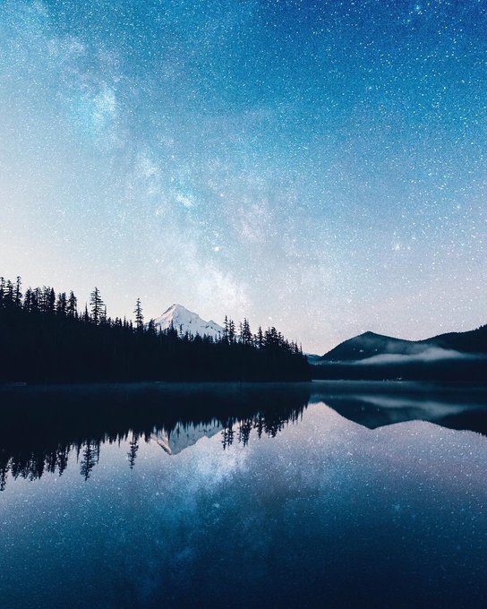 Photography by Nick Verbelchuk