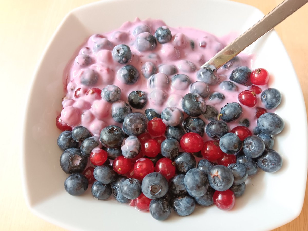 Sergej_Ivanov's tweet photo. #Vitamin und #Protein #Sportlerfrühstück: #Joghurt, #Heidelbeeren, #rote #Ribisel - #lecker https://t.co/SmWWi45uNF