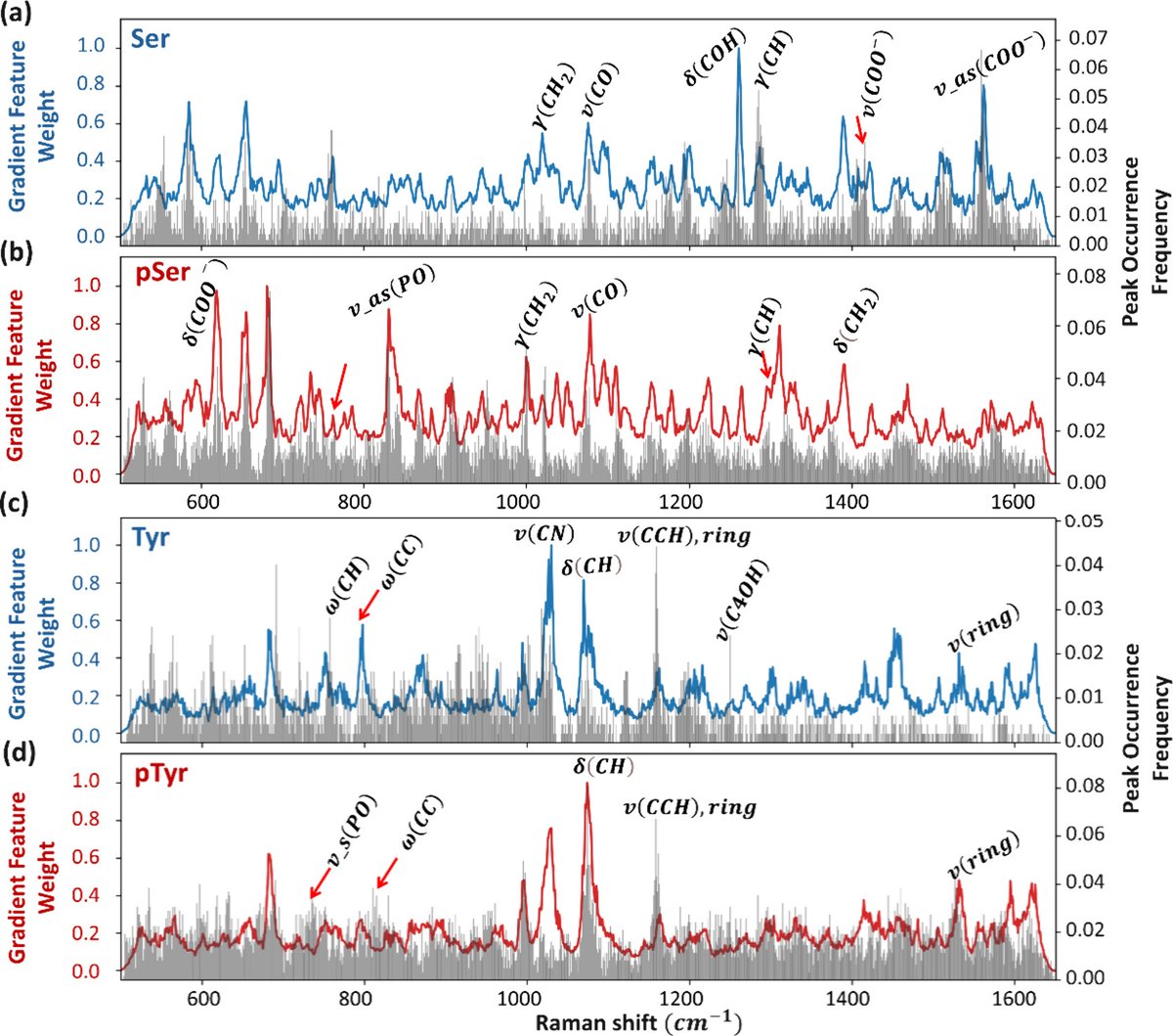 RamanProSeq's tweet photo. Thrilled to announce our latest work! 
By combining a plasmonic particle-in-pore sensor with deep learning, we achieved high-accuracy single-molecule SERS detection of phosphorylation in serine and tyrosine (>95% &amp; >97%).

Read more👉 https://t.co/3YqbnSu3Zz
Yaltaye et al. https://t.co/jBWb0uOfLF