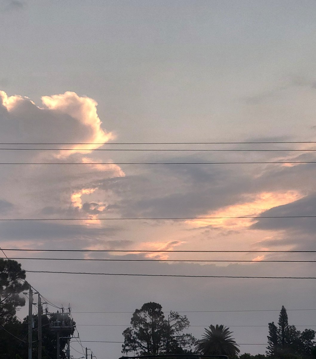 RaniculaPlays's tweet photo. 🌸🌅 Soft skies to start the morning. 🌸🌅

There’s something magical about the way clouds hold the light, even with power lines crossing through the view — beauty still finds a way to shine through. 💚🍄

A little reminder that every day brings its own cozy magic. https://t.co/CkwGu8lO5A