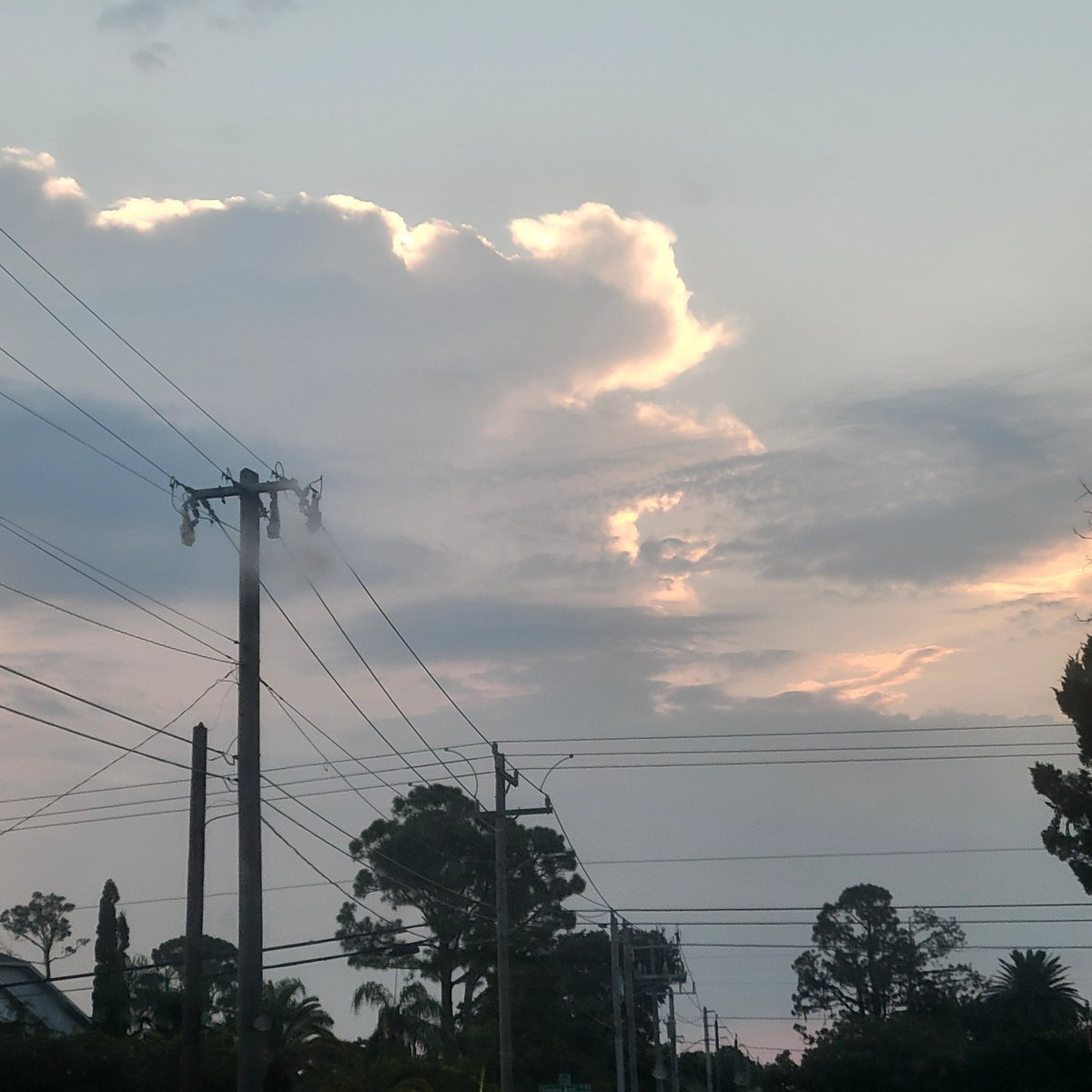 RaniculaPlays's tweet photo. 🌸🌅 Soft skies to start the morning. 🌸🌅

There’s something magical about the way clouds hold the light, even with power lines crossing through the view — beauty still finds a way to shine through. 💚🍄

A little reminder that every day brings its own cozy magic. https://t.co/CkwGu8lO5A