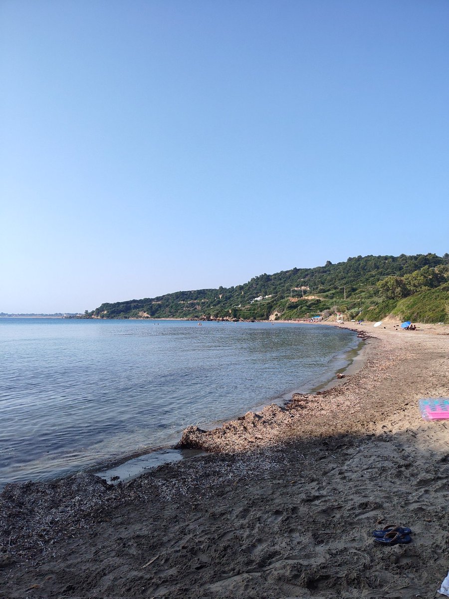 Gm, let's have a beautiful day 🌅

Locked in with Wallchain and Covalent!