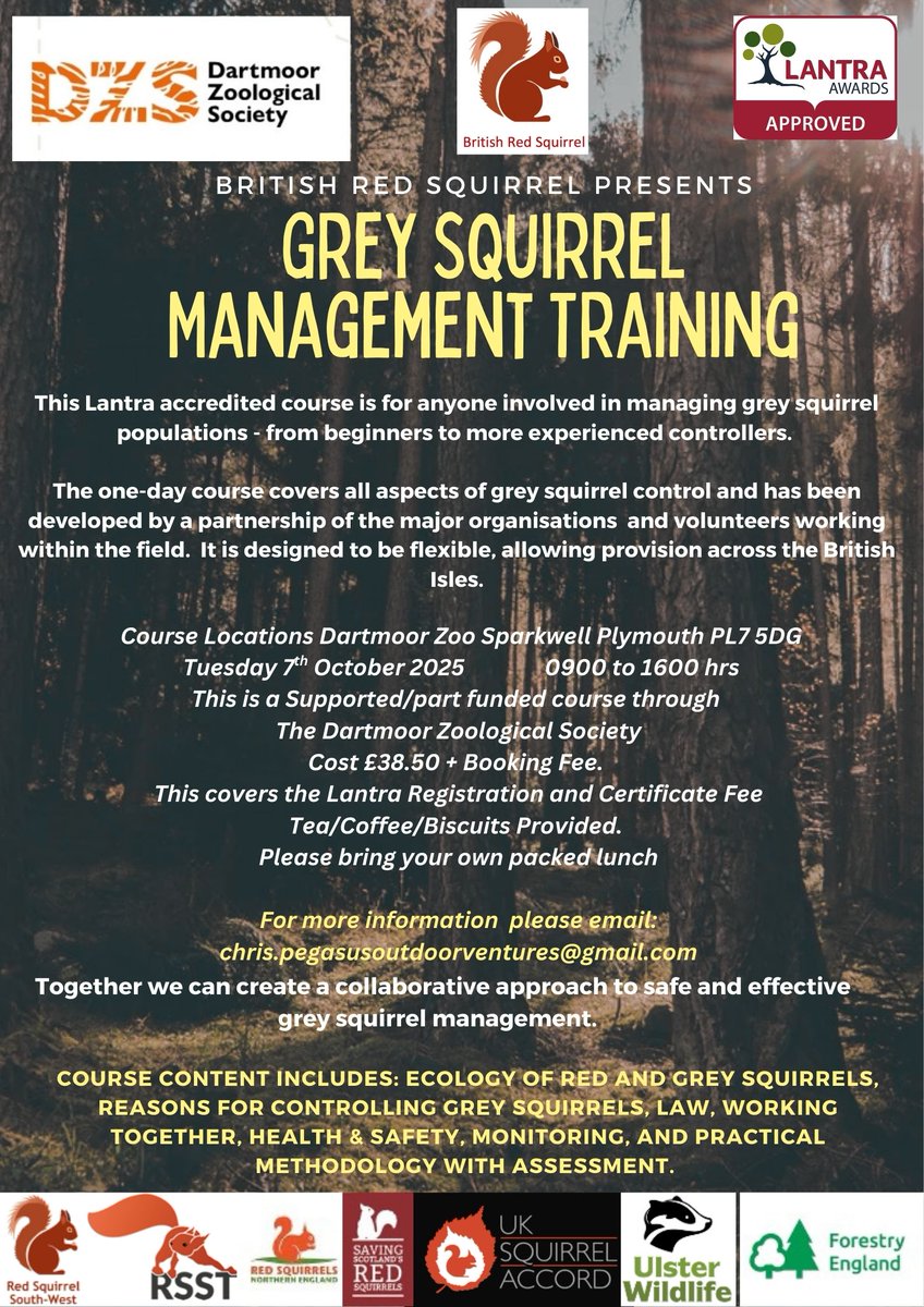 Red Squirrel South-West tweet media