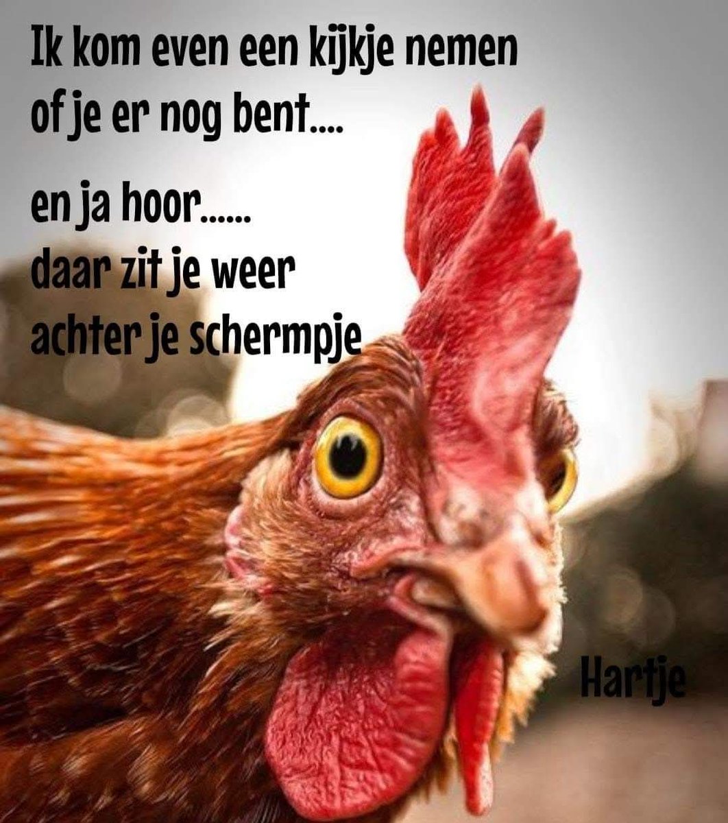 Bram Stoop (@stoopbram) on Twitter photo  Bram Stoop (@stoopbram) on Twitter photo