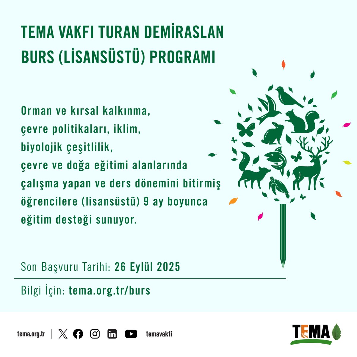 TEMA Vakfı Turan Demiraslan Burs (Lisansüstü) Programı 2025 başvuruları başladı.

📌 Burs programımız hakkında ayrıntılı bilgi almak ve başvuru yapmak için web sitemizi ziyaret edebilirsiniz.

👉🏻 tema.org.tr/burs

📌 Son başvuru tarihi: 26 Eylül 2025

📩 İletişim: