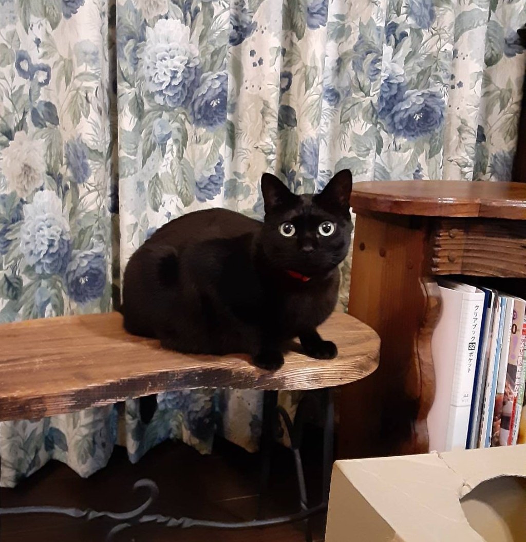 𓆛𓆜𓆝𓆞𓆟 tweet media