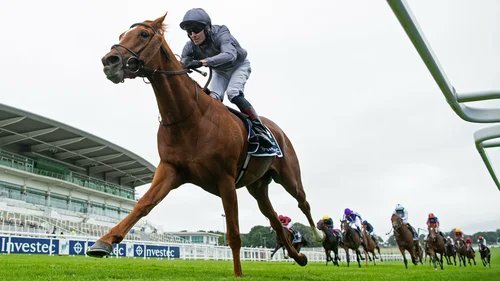 Kevin Blake tweet media