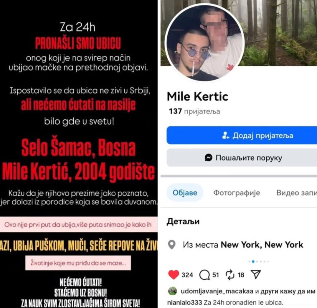 Hristina tweet media