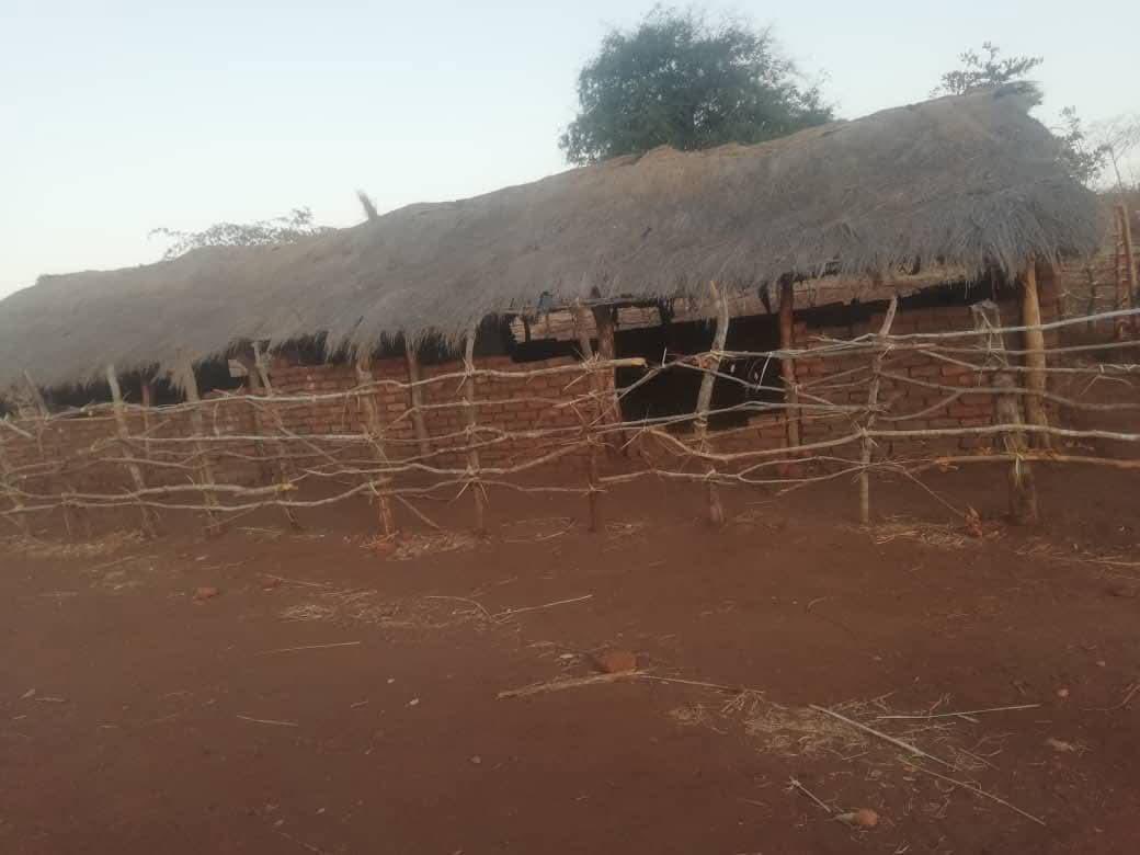 <a href="/Mavhure/">Rufaz--Jerera❤King❤</a> <a href="/taundoro/">Taungana B. Ndoro</a> <a href="/ProgressiveOf/">PTUZ_Official</a> <a href="/FumaiGavin/">Fumai Mufakose : Taurotragus Oryx</a> <a href="/ishemukati/">Dr Ishe Mukati(PHD)</a> <a href="/LovemoreMapahla/">Mapahla Lovemore</a> <a href="/MthuliNcube01/">Hon Prof Mthuli Ncube</a> You expect wonders from such?