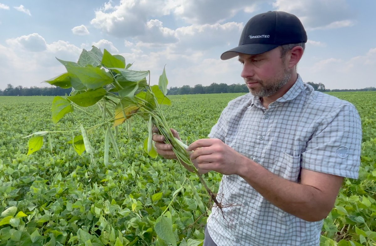AgBern's tweet photo. Finding a fit for Strip Till in edible beans. @langfordmatt shares what he's learning on the Edible Bean School @realagriculture @HDCAgronomy https://t.co/kdzJhORwIF https://t.co/SbTvkuz6xD