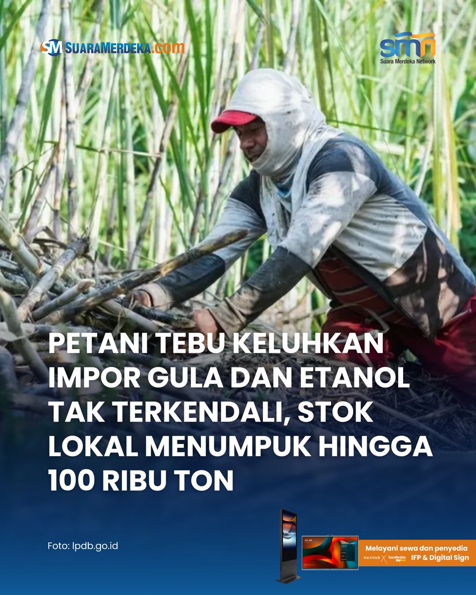 suaramerdeka's tweet photo. Petani tebu di Indonesia menyampaikan keluhan kepada DPR terkait maraknya impor gula dan etanol yang dinilai tidak terkendali.

https://t.co/ngCgOzVIIW

#suaramerdeka #petani #tebu #petanitebu #imporgula #etanol #stoktebulokal #guladanetanol https://t.co/nd6L8nJfWI