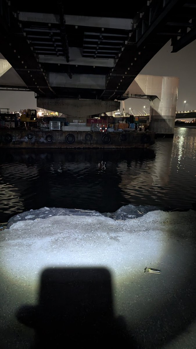 さぁ～、タマゾン川夜ハゼ開始しますよ〜😁
明日の朝マヅメのマゴチ釣行用っす(笑)
変態ハゼ釣り師でいきまっせ〜💪