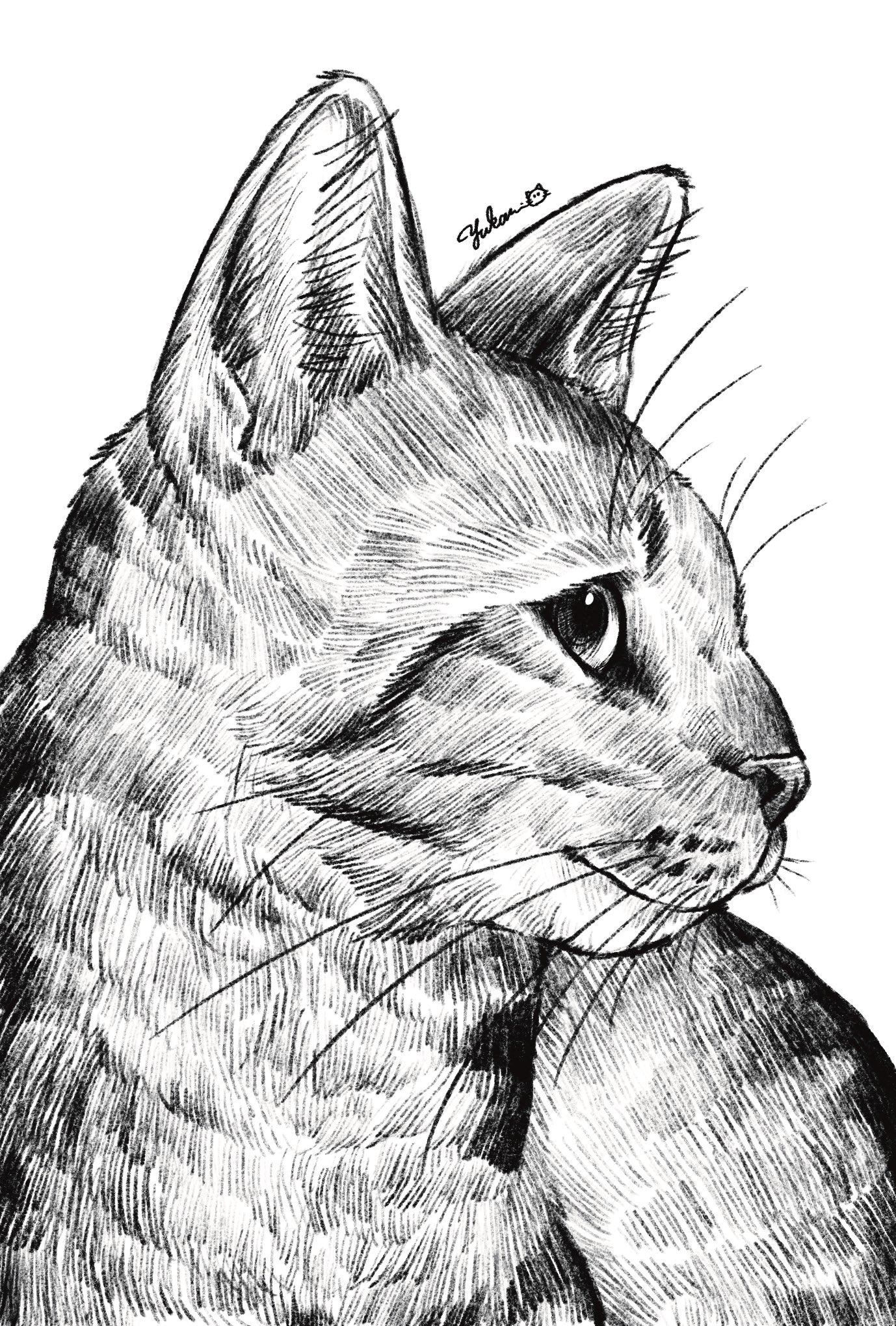 YUKARI 猫イラスト Yukari on X: 