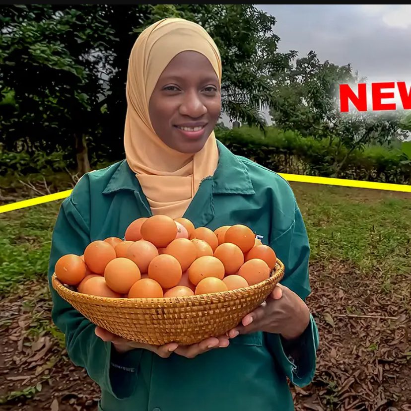 Someone somewhere is having an egg or chicken (fried, roasted, baked, stewed, in a sausage, pizza, etc). That means chicken is the most popular and cheapest protein source today. Have you had any animal protein today!
#ChickenLovers #ProteinPower #AffordableProtein #FoodFacts