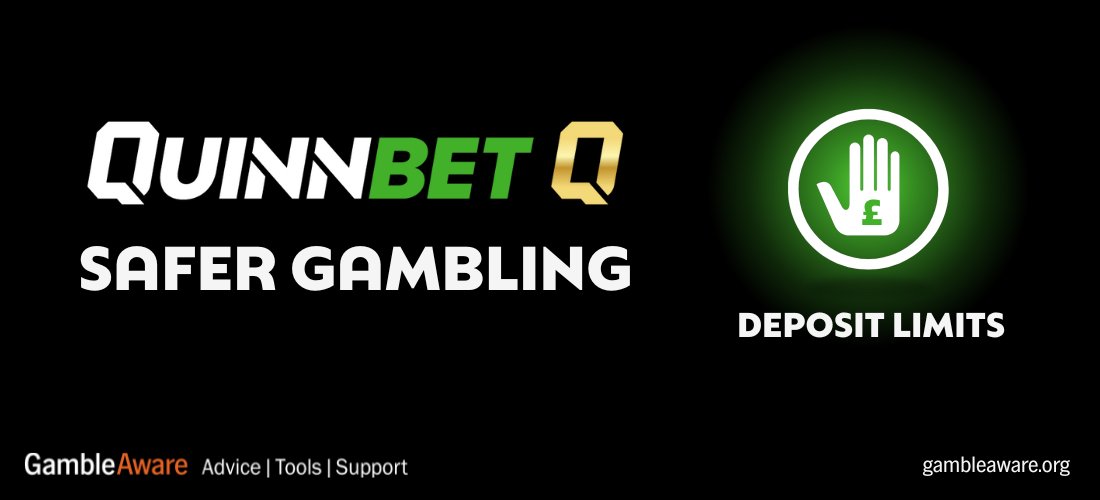 Quinnbet Platform Image