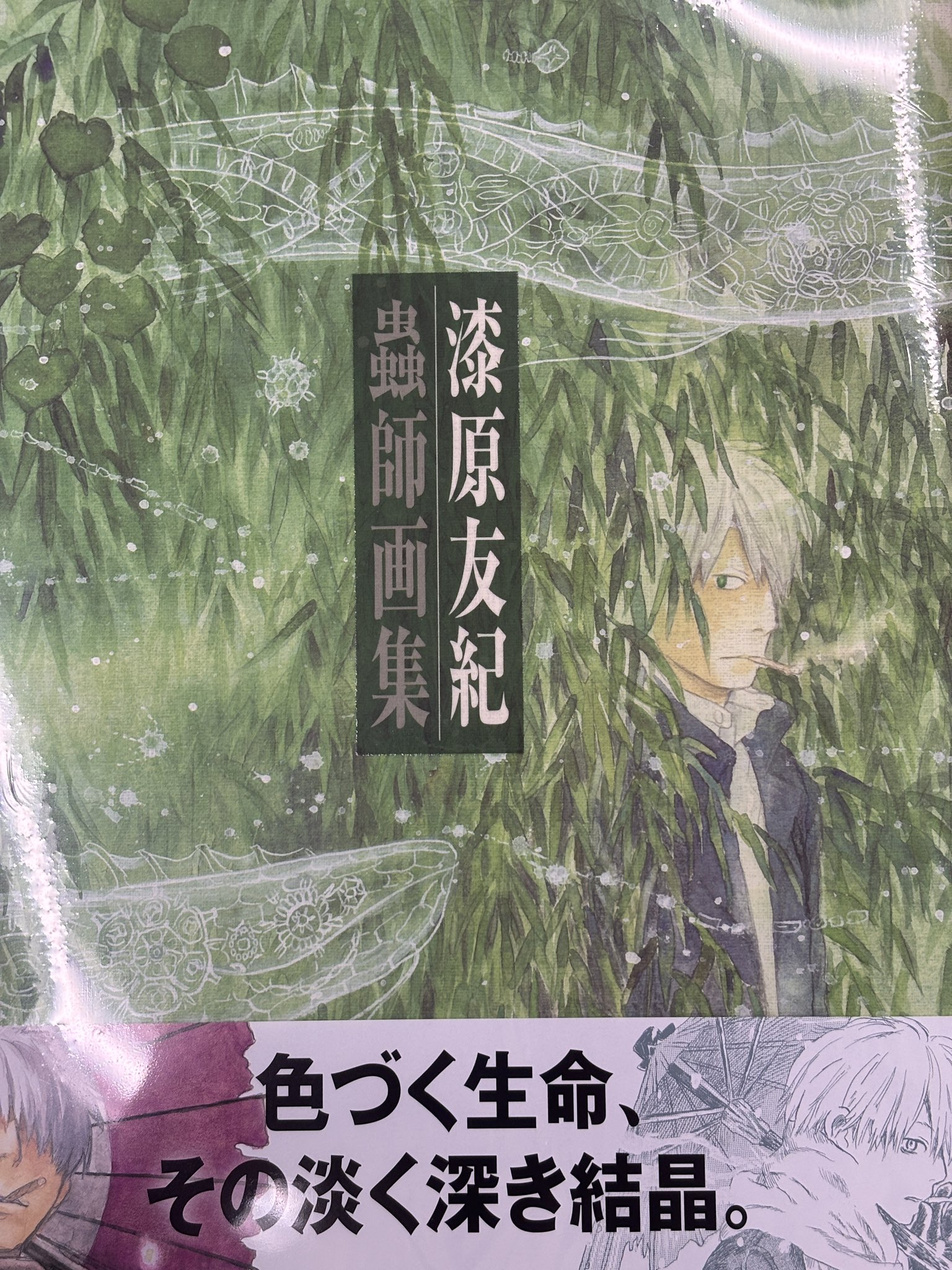 蟲師　よるくも　水域　漆原友紀3タイトル　全17巻セット 蟲師（3） (アフタヌーンコミックス) | 漆原友紀 | 青年マンガ