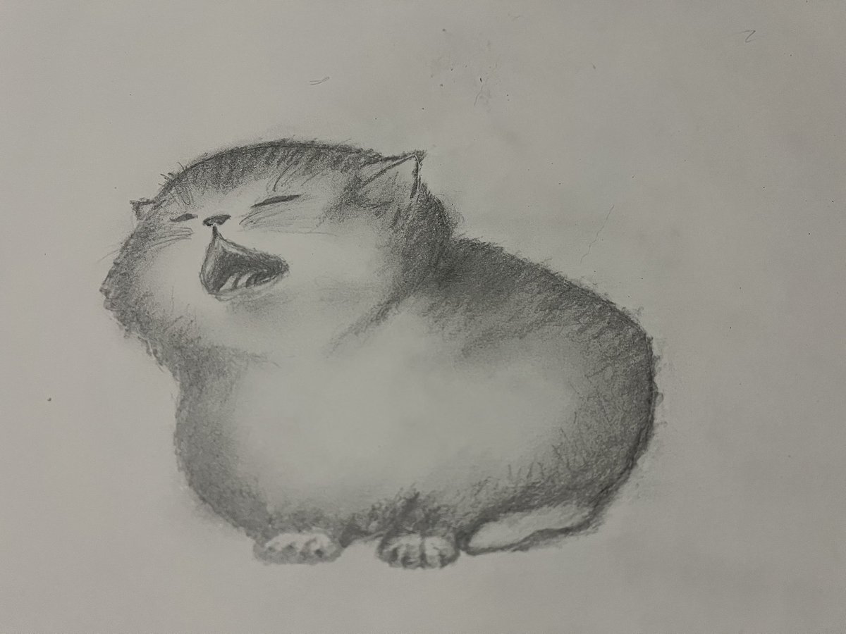 落書き
ガォー！！の練習