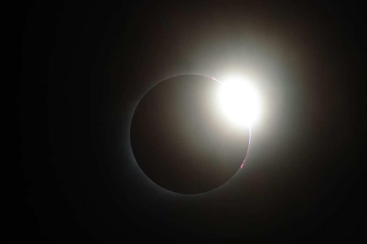 EricTheCat 🇺🇸 tweet media