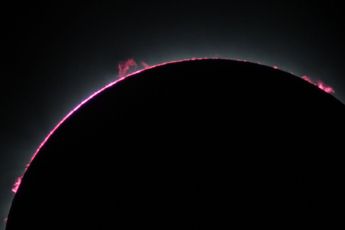 EricTheCat 🇺🇸 tweet media