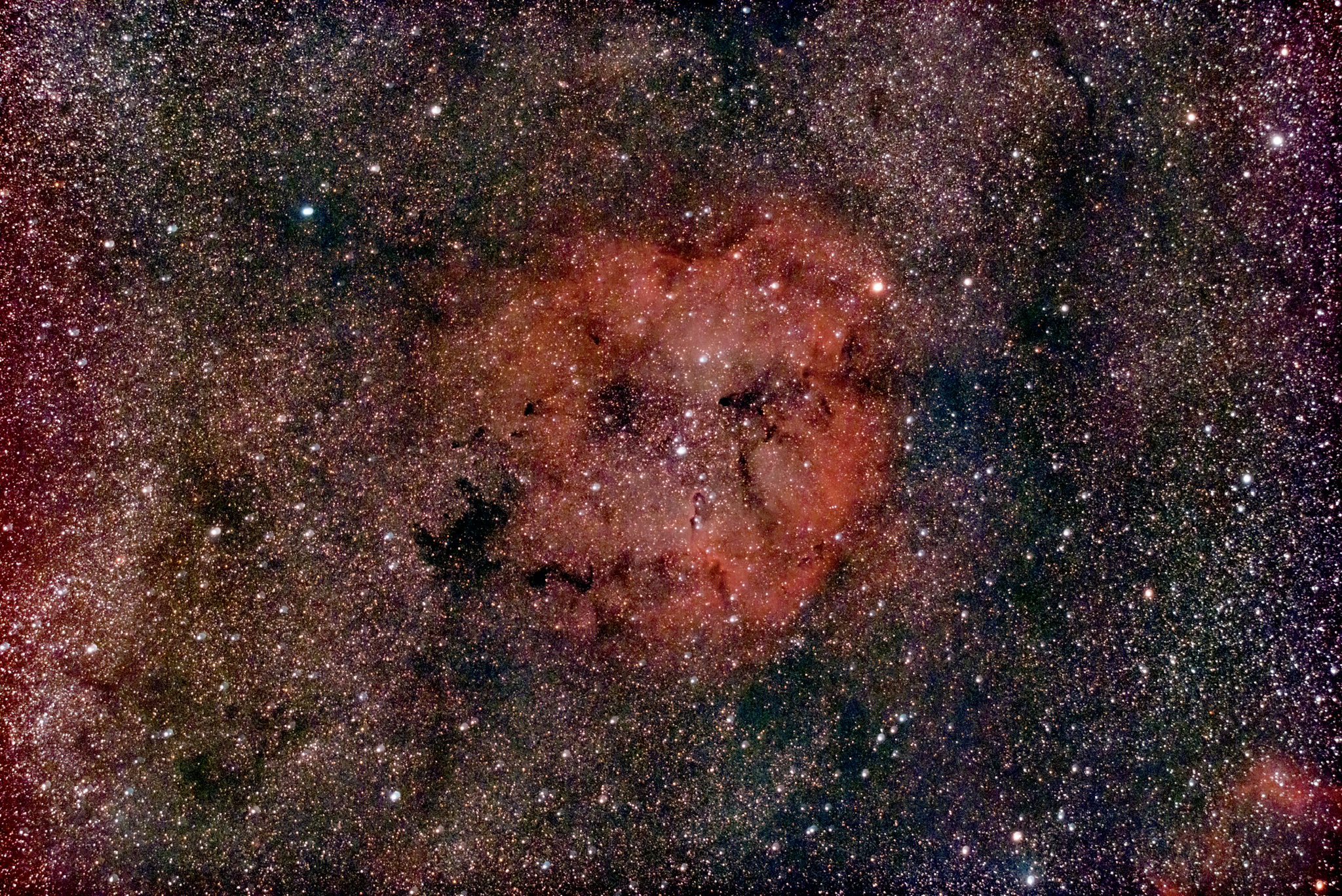 セイ (@virgo20113) / X