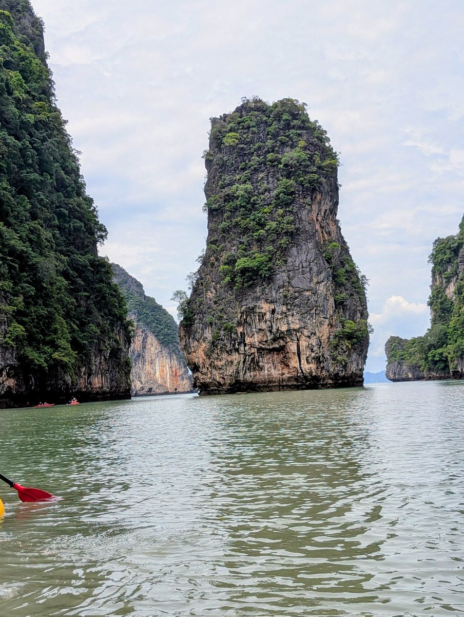 viking135's tweet image. #NotHome